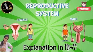 reproductive system anatomy amp physiology l Menstrual cycle l reproductive system of male amp female [upl. by Ysdnil514]