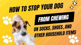 How To Stop Your Dog From Chewing [upl. by Goldshlag]