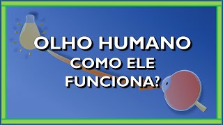 Como funciona o olho humano Saiba como o nosso olho forma as imagens para a visão [upl. by Minnaminnie]