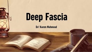 Anatomy  Deep Fascia [upl. by Ayifas821]