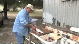 Professor William Massey  How to quickly clean a Mullet [upl. by Kathie169]