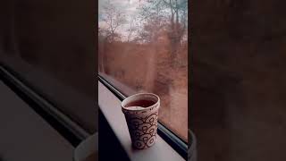 Chai Ka Status  Chai Lover Status  Chai Song  Pakistani Song  Tea Status  Aaj Ki Chaye  Wali [upl. by Burrows]