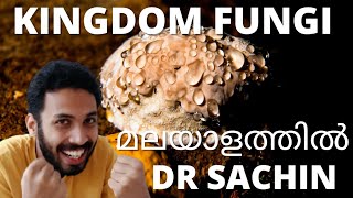 kingdom fungi class 11  malayalam  mycelium  hyphae  knowledge vlogger [upl. by Akehsyt714]