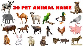 Domestic Animals Name  Pet Animals  Domestic Animals Name in Hindi to English [upl. by Uni11]