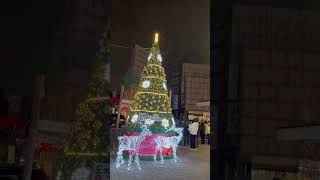 snowing amp christmas tree perfect seoul [upl. by Gnoh]