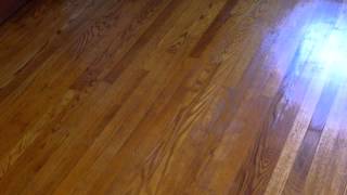 Refinishing hard wood flooring with Zar stain and water based polyurethane [upl. by Little]