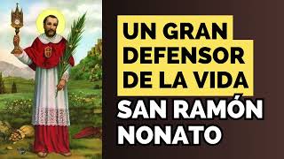 SAN RAMÓN NONATO👉🏻Un gran defensor de la vida sanramonnonato sanramon santoscatolicos Diosesfiel [upl. by Goles]