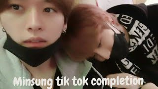 ✨️MINSUNG✨️ tiktok compilation jealoustensioncute moments 20 min Part 4 [upl. by Elish66]