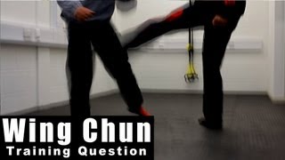 Wing Chun training  wing chun how to use the kick Q74 [upl. by Ahsinej421]