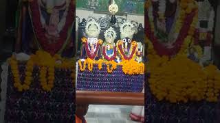 Jai jagannath 🪔🙏jagannath mantra 🪔shortsvideo vairalvideo [upl. by Mecke]