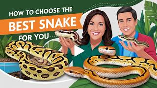 How to Choose the Best Pet Snake for You [upl. by Ernestus260]