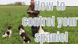 Do You Struggle To Keep Your Spaniel Under Control Watch This [upl. by Shannah]