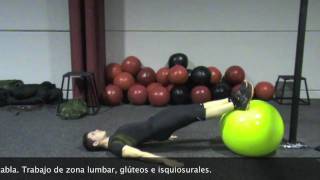 Ejercicios isométricos para entrenar la zona lumbar [upl. by Brade677]