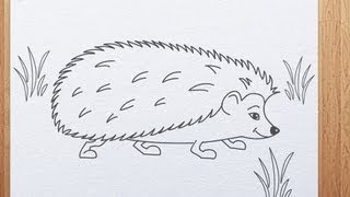 How to draw a hedgehog [upl. by Ingamar]