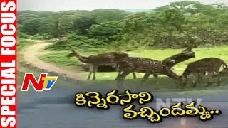 Kinnerasani Wildlife Sanctuary  Special Focus  NTV [upl. by Kingdon677]