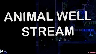 Animal Well Stream [upl. by Aneehs]