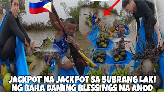 IBATIBANG PAGKAIN SA AGUSAN MARSH NA ANOD DALA NG MALAKING BAHA🇵🇭JACPOT KAMI NI EMMAN🇵🇭❤️🇫🇮 [upl. by Tila]