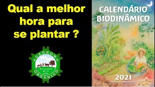 QUAL A MELHOR HORA PARA PLANTAR  Calendário Biodinâmico  046 AGRO LUA [upl. by Bolton150]