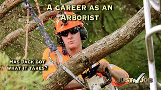 Arborist Careers [upl. by Matthus]