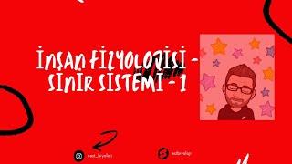 İnsan Fizyolojisi  Sinir Sistemi 1 [upl. by Vahe]