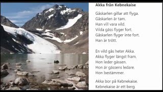 Ljudbok Nisse Holgersson kapitel 2 Akka från Kebnekaise [upl. by Orabelle519]