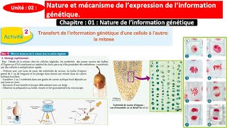 Transfert de linformation génétique dune cellule à lautre  la mitose 2BAC شرح بالداريجة [upl. by Ardyaf]