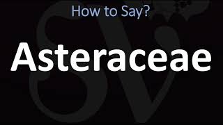 How to Pronounce Asteraceae CORRECTLY [upl. by Nedra370]