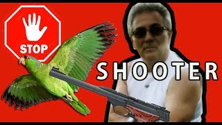 THIS GUY WANTS TO SHOOT PARROTS [upl. by Rumney]