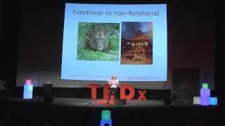 The cautious brain Katarina Gospic at TEDxStockholm 2013 [upl. by Prakash160]