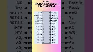 8085 microprocessor pin diagram [upl. by Yelahs]