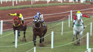 BRASILERO  CAMPEÓN SPRINT 2022  400m  Hipodromo Artigas  13112022  Aniversario FronteraTurf [upl. by Cilla926]