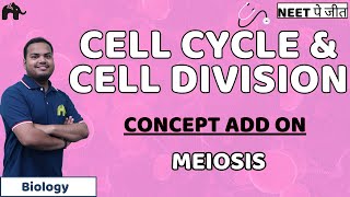 Cell Cycle and Cell Division Class 11 Biology NEET  Meiosis [upl. by Aneed]