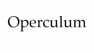 How to Pronounce Operculum [upl. by Mora533]