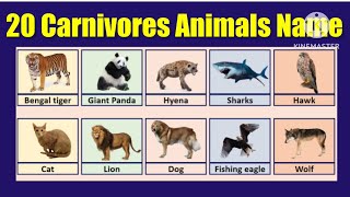 Carnivores Animal20 Carnivores Animals NameCarnivores Animals Name in Englishcarnivoresanimal [upl. by Dickenson]