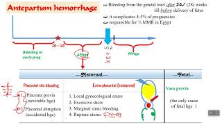 Antepartum hemorrhage  part 1 [upl. by Atikat]