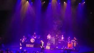 The Mavericks  Dance the night away  muziekgebouw Eindhoven 02052024 [upl. by Luzader]