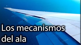 ¿Cómo controlamos el vuelo Todo sobre el ala [upl. by Neelac]