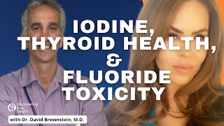 Dr David Brownstein What Iodine Thyroid Fluoride Toxicity Salt and Cholesterol Have In Common [upl. by Arimat]