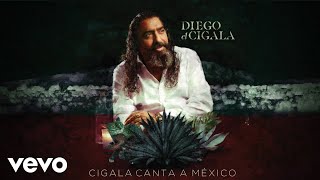 Diego El Cigala  Bésame Mucho Audio [upl. by Eenimod]