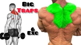 6 HUGE TRAPS WORKOUT AT GYM TO GET BIGGER TRAP  SHRUGS EXCERCISES [upl. by Ydnelg]