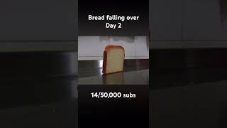 Bread falling over day 2 [upl. by Htiekel378]