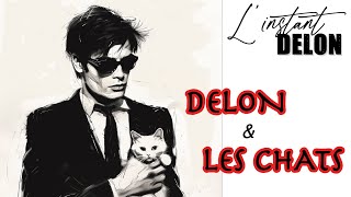 LINSTANT DELON  DELON ET LES CHATS Scorpio [upl. by Rratsal]