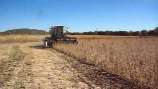 Harvesting with the F2 Gleaner Part I [upl. by Theresa190]