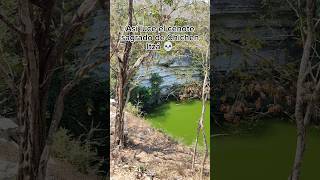 Visitamos el cenote sagrado dentro de la zona arqueológica de Chichen Itzá shorts [upl. by Rebmeced740]