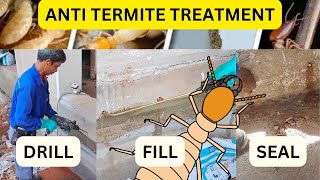 Anti Termite Treatment Everything You Need to Know [upl. by Siaht]