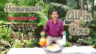 How to make Insecticide Pesticide  Fungicide  Antibiotics Miracle All in one Solution [upl. by Emlen572]