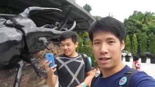 VLOG  槟城蝴蝶公园 ENTOPIA Penang Butterfly Farm [upl. by Ruffo366]