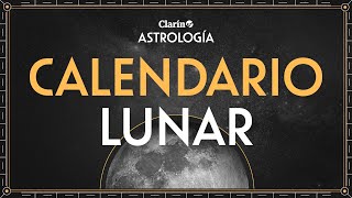 Calendario Lunar cómo aprovechar la energía de LUNA NUEVA y conectar con las RAÍCES  Lourdes Ferro [upl. by Nibla751]