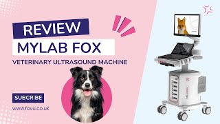 First Impressions Esaote MyLab FOX Ultrasound Machine for Vets [upl. by Russel]