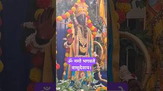 ॐ नमः नारायण। ओम नमो भगवते वासुदेवाय। om namah Narayan om namah bhagvate vasudeva [upl. by Yadseut]